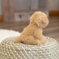 thumbnail image 4 of Juguete de peluche DEMDACO Chihuahua negro de pelo largo, 4 of 6
