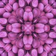 thumbnail image 1 of Ahgly Company Tapis d'Intérieur Lavable en Machine Carré Transitionnel Moyen Violet Rouge Rose, 8 Pieds Carré, 1 of 7