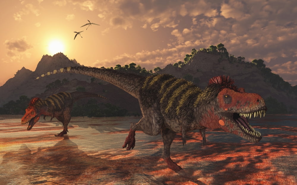 A pair of carnivorous Tarbosaurus dinosaurs scavaging for food during the Cretaceous period