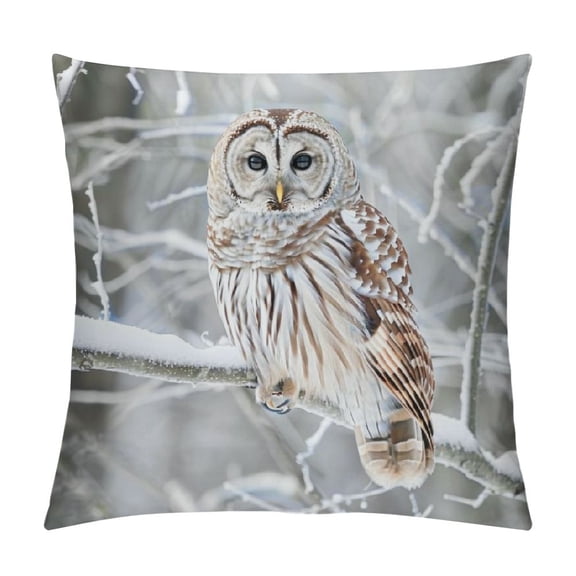 Orinice Owl Tree Branch Snow Graphic Decorative Cushion Throw Pillow Cover Short Plush Winter Printed on Both Sides 1PC 12x12in