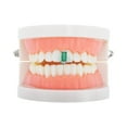 thumbnail image 2 of Unique Bargains 1 Pc Fake Grills Hip Hop Square Zirconia Teeth Grillz Silver Tone Green, 2 of 6