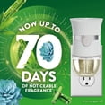 thumbnail image 2 of Recambio de aceite perfumado Air Wick Plug In de agave azul y bambú, 4 unidades, 2 of 9