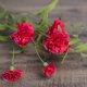 thumbnail image 2 of unbranded Ramo De Flores Artificiales Duraderas En Tono Rosado Para Arreglos Decorativos, 2 of 8