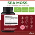 thumbnail image 4 of Forest Leaf Organic Irish Sea Moss Supplement with Bladderwrack and Burdock Root for Digestive Health, 90 Vegetable Capsules, 4 of 10