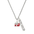 thumbnail image 1 of Delight Jewelry Silvertone Small Red Enamel Present Silvertone Hope Anchors the Soul Bar Charm Necklace, 23", 1 of 4