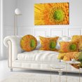 thumbnail image 3 of Designart Yellow Daisy Gerbera Flower Close up - Flowers Throw Pillowwork - 12x20, 3 of 5
