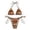 D413/Brown, variant on Women's Bikini Sets Bikini Swimsuit Women Swimwear Push Up Bikini Set Thong Brazilian Bathing Suit Beach Wear Beach Swimwear