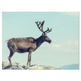thumbnail image 1 of Design Art Large Reindeer in Norway Canvas Print, 1 of 3
