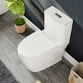 thumbnail image 4 of Eviva Denali One Piece Toilet in White, 4 of 15