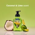 thumbnail image 4 of Softsoap Limited Edition Pacific Sunset Foaming Liquid Hand Soap, Coconut and Lime Scent, 9 fl oz, 4 of 14