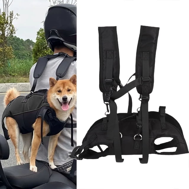 Sac à Dos pour Chien, Sac de Transport pour Chat et Chien pour Voyage Randonnée Cyclisme Extérieur