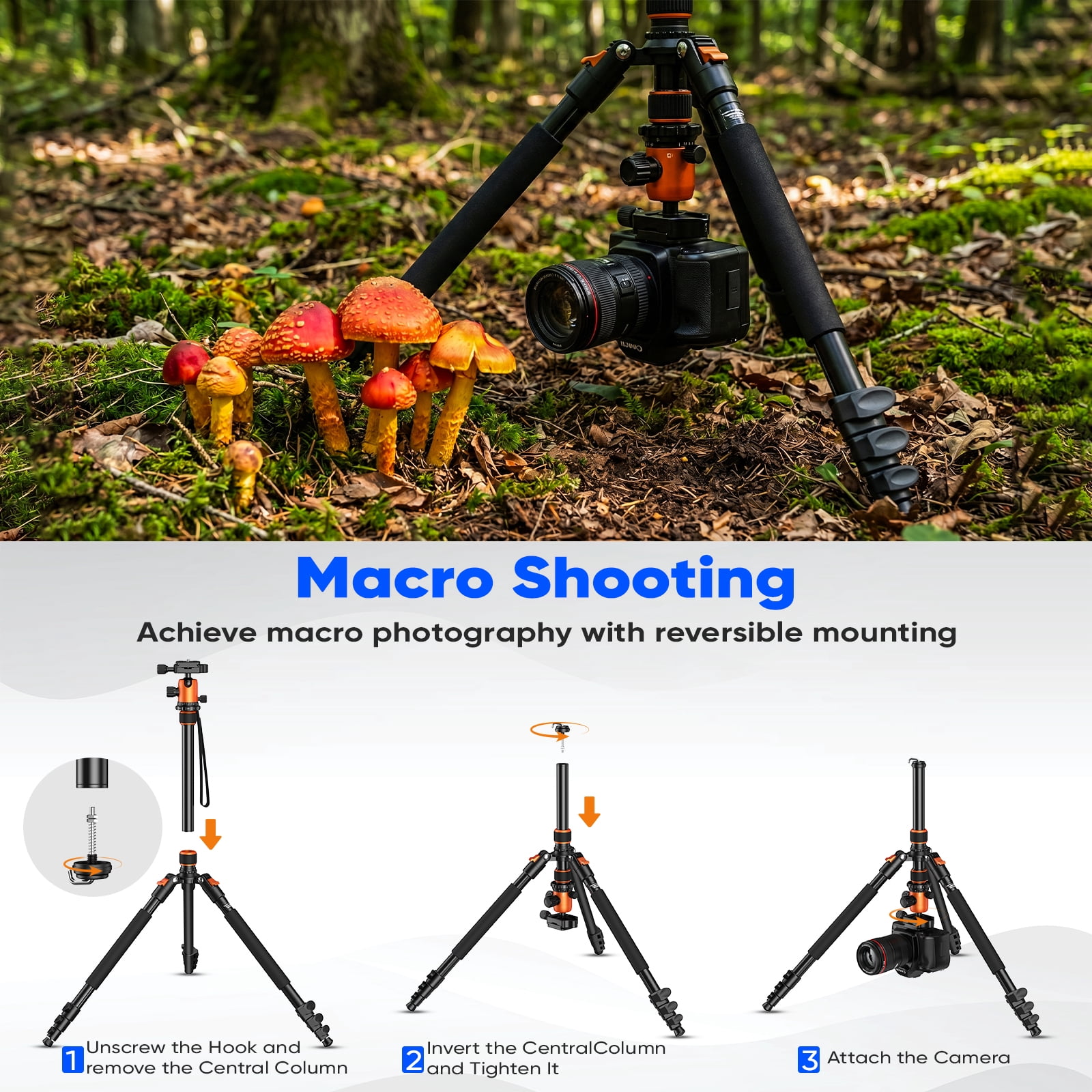 BEBANG 67" Camera Tripod for DSLR Cameras, Aluminum Travel Tripod with Monopod, 360° Ball Head, 17.6lb Load Capacity, Lightweight DSLR Tripod