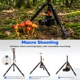 thumbnail image 6 of BEBANG 67" Camera Tripod for DSLR Cameras, Aluminum Travel Tripod with Monopod, 360° Ball Head, 17.6lb Load Capacity, Lightweight DSLR Tripod, 6 of 9