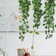 thumbnail image 2 of 9 Piezas de Vid de Colgante Artificial de 2,95 Pies Plantas Artificiales Colgantes de Pared Verde para Interior y Exterior JardíN de Casa, 2 of 5