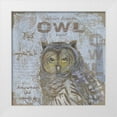 thumbnail image 1 of Phillips, Anita 20x20 White Modern Wood Framed Museum Art Print Titled - Where Does an Owl Hoot, 1 of 4