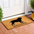 thumbnail image 2 of Calloway Mills 107051729 Neapolitan Mastiff Doormat 17" x 29", 2 of 2