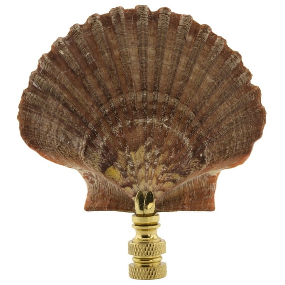 Mexican Flat Sea Shell Finial 3"h