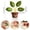 Green*2Pc, variant on 1Pc Plant Leaf Shaped Magnetic Clip Set, Cute Potted Fridge Photo Note Holder, Decorative Refrigerator Magnet Clips, Spring Loaded Paper Fastener, Chip Bag Clips, Fun Kitchen Storage Accessories