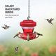 thumbnail image 1 of Hummingbird Feeders Leak-proof Wide Mouth For Easy Filling Easy Cleaning For Outdoor New, 1 of 4