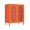 Orange, variant on 2 Door Metal Mesh Storage Cabinet with 1 Adjustable Shelves-Steel Locker Cabinet for Living Room, Bedroom, Hallway, Office Room, Home, Hotel, Kitchen, Garage, 2-Tier (Mesh Door, Black)