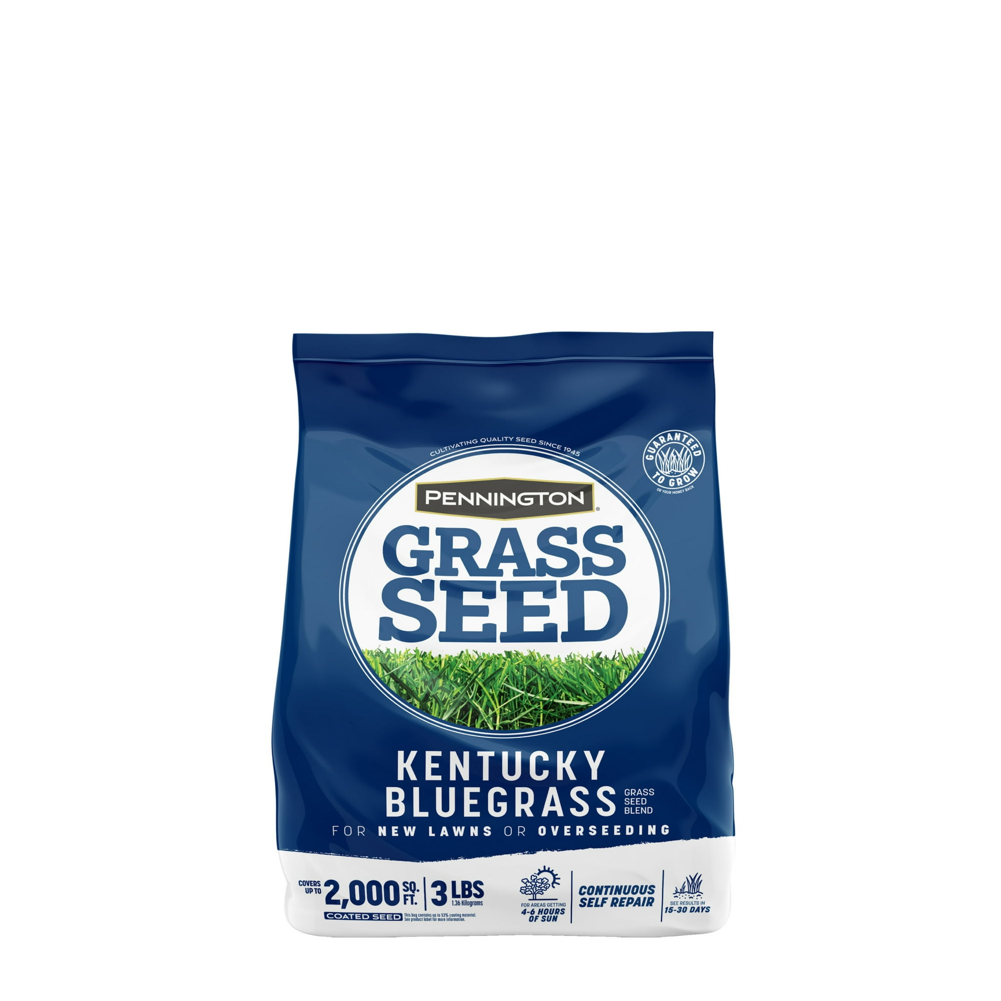 Pennington Kentucky Bluegrass Northern Grass Seed Mix for Sun to Partial Shade, 3 lb