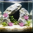 thumbnail image 4 of Cififendec 10Pcs Luminous Starfish Mini Ornament, 1", Glow In Dark Resin Aquarium Landscape Decoration for Fish Tank Bottom Layout, Underwater Scene Decor, 4 of 5