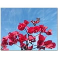 thumbnail image 1 of Flowers Ceramic Tile Mural Kitchen Backsplash Bathroom Shower 402478-L43, 1 of 3