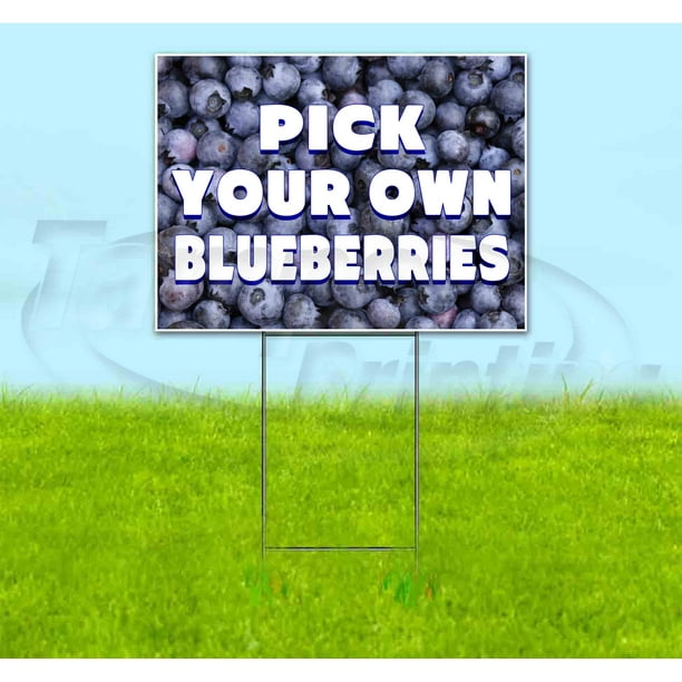PICK YOUR OWN BLUEBERRIES (18" x 24") Yard Sign, Quantity Discounts