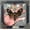 Glass Frame, variant on Death Head Moth Black Frame Shadow Box, Gothic Insect Inspired Wall Art, Dark Aesthetic Home Decor, Framed Display for Curiosity Cabinet K18-01-DE