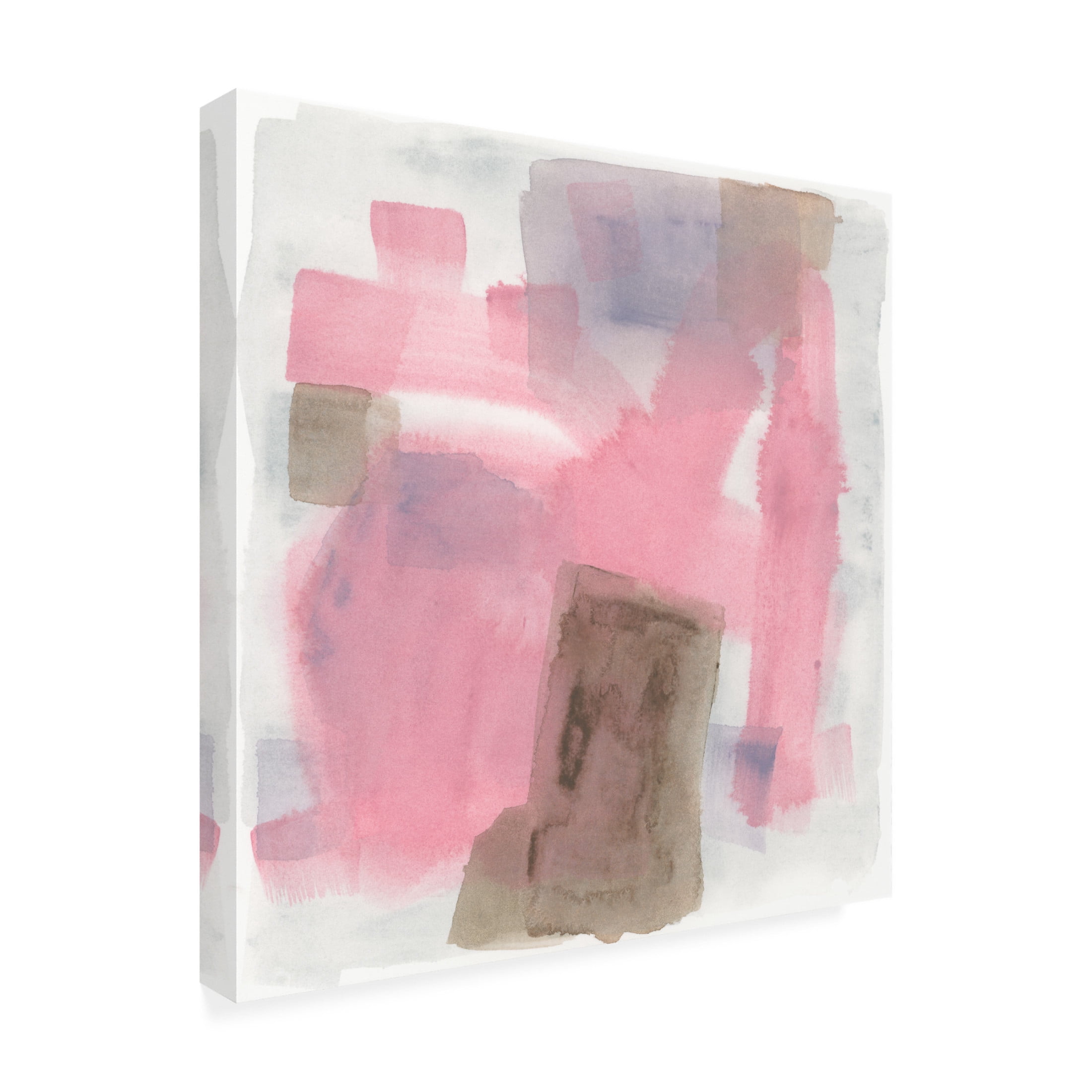 Trademark Fine Art June Erica Vess Luz Rosa II Canvas Wall Art
