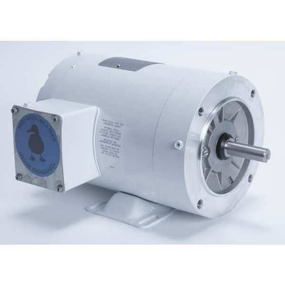 Leeson Washdown Motor,1/2HP,3-Phase Design,CWSE 115743.00