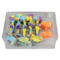 thumbnail image 2 of Popular color 10-pack suction cup soft tip darts set Popular throwing game silicone suction cup darts for indoor and outdoor sports hwy, 2 of 5
