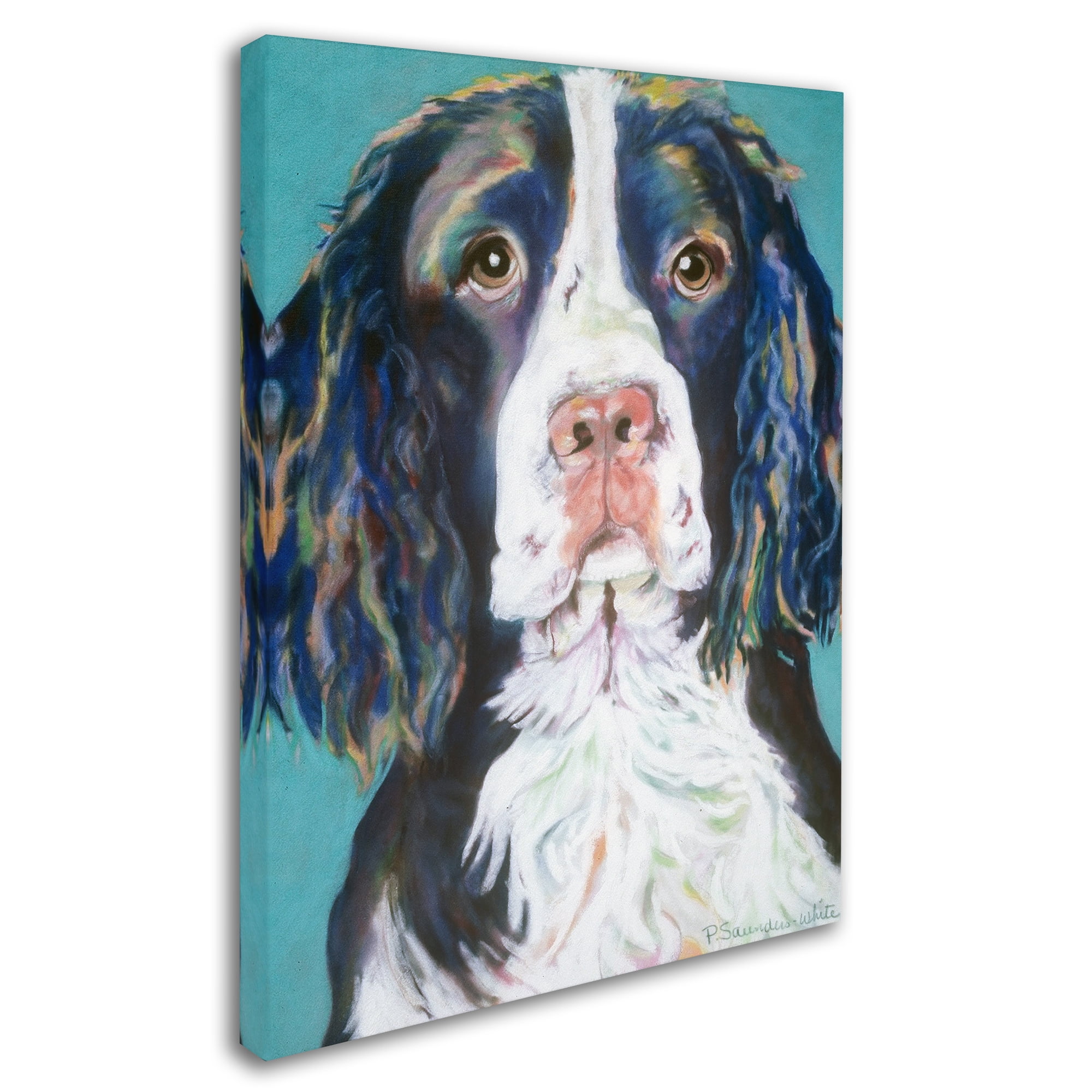 Trademark Fine Art "Dodger" Canvas Art by Pat Saunders-White