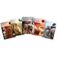 thumbnail image 3 of Splendor Board Game (Base Game) | Family Board Game | Board Game for Adults and Family | Strategy Game| Made by Space Cowboys, 3 of 5