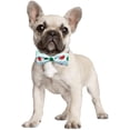 thumbnail image 5 of azuza Dog Collar with Bow Soft & Comfy Bowtie Dog Collar for Small Medium Large Dogs, 5 of 7