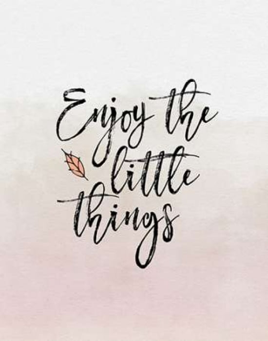 Enjoy the Little Things Canvas Art - Tara Moss(22X28)