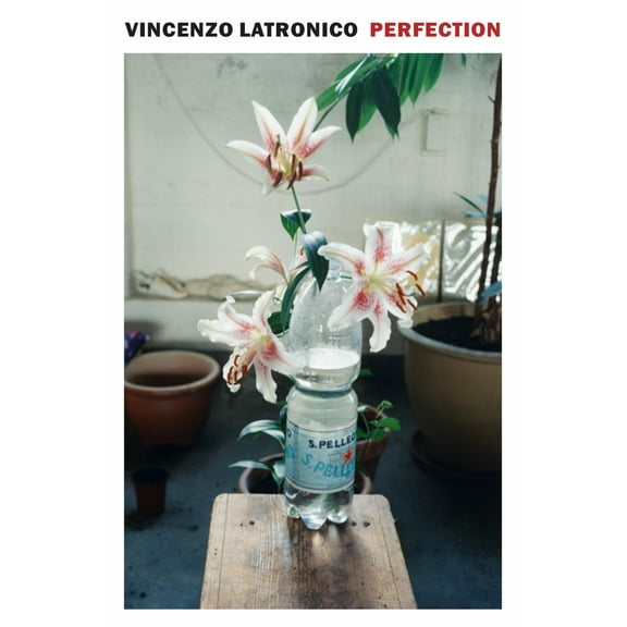 Perfection (Paperback)