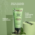 thumbnail image 6 of Mielle Rosemary Mint Clarifying Sugar Scalp Scrub - 6 oz, 6 of 11