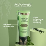 Mielle Rosemary Mint Clarifying Sugar Scalp Scrub - 6 oz