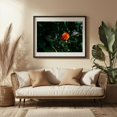 thumbnail image 3 of Untitled - Portland Oregon Photography Flowers Floral Botanical Nature Garden Scenic Summer Black Framed Wall Art Print 16 x 24 inches, 3 of 4