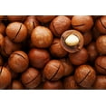 thumbnail image 6 of Organic Dry Roasted Whole Macadamia Nuts with Himalayan Salt, 16 Pounds – Delicious and Nutritious Snack Made from Premium Non-GMO Nuts,, 6 of 7