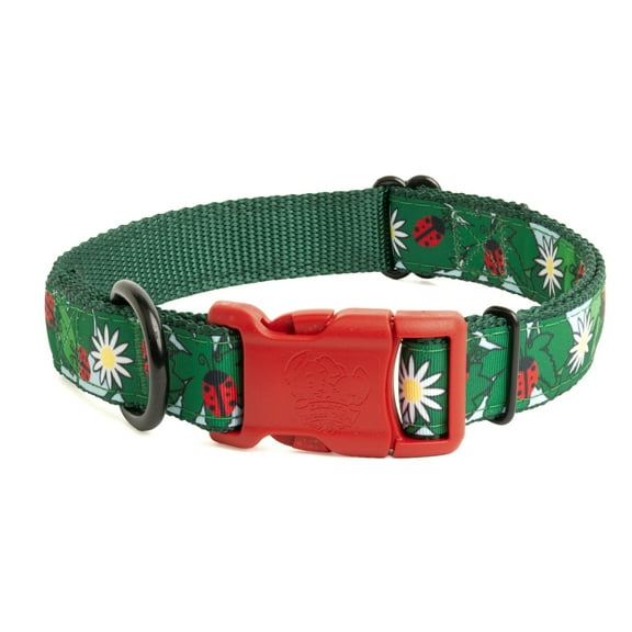 Country Brook Petz® Deluxe Ladybugs Picnic Ribbon Dog Collar, Medium