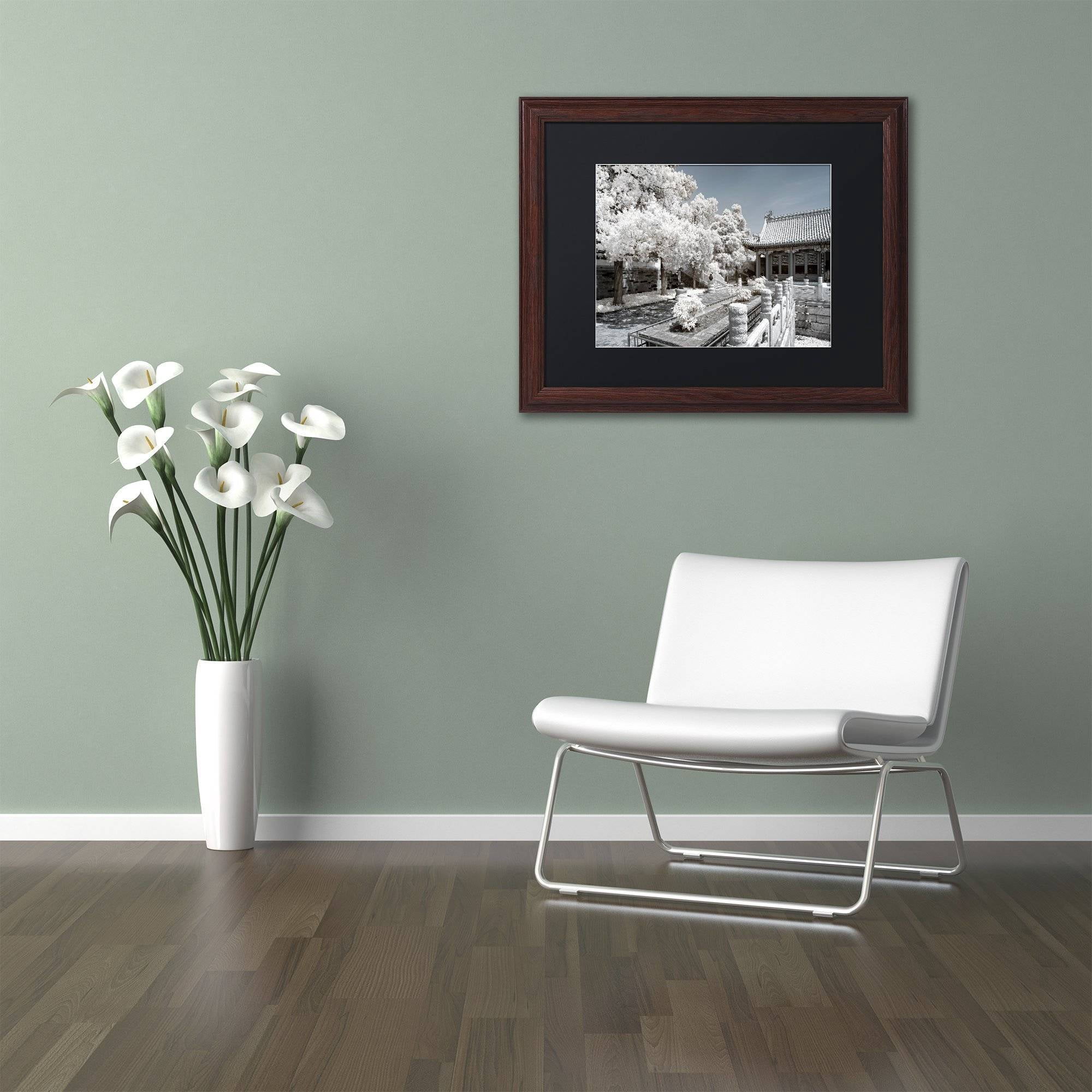 Trademark Fine Art "Reflection" Canvas Art by Philippe Hugonnard, Black Matte, Wood Frame