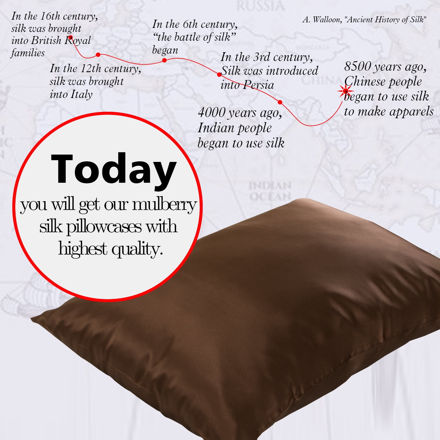 Ntbay 1 Pack 100% Mulberry Silk King Pillowcase with Hidden Zipper, Luxurious Both Side 19 Momme Pillow Case, 20" x 36", Brown