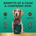 thumbnail image 5 of VetriScience Long Lasting Calm & Confident Anxiety Support Soft Chews for Dogs, Chicken, 30 Count Bag, 5 of 11