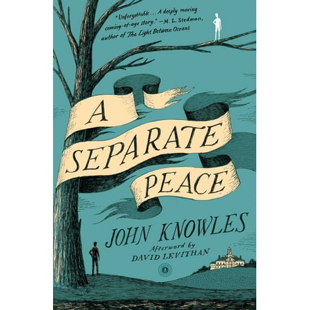 ISBN 9780743253970 product image for A Separate Peace (Paperback) | upcitemdb.com