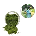 thumbnail image 4 of Miniature Artificial Grass Debris Collectibles for Fairy Garden Sand Table Green, 4 of 8