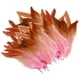 thumbnail image 4 of 50 piezas de plumas para manualidades, plumas decorativas portátiles, plumas de colores para Rosa, 4 of 9