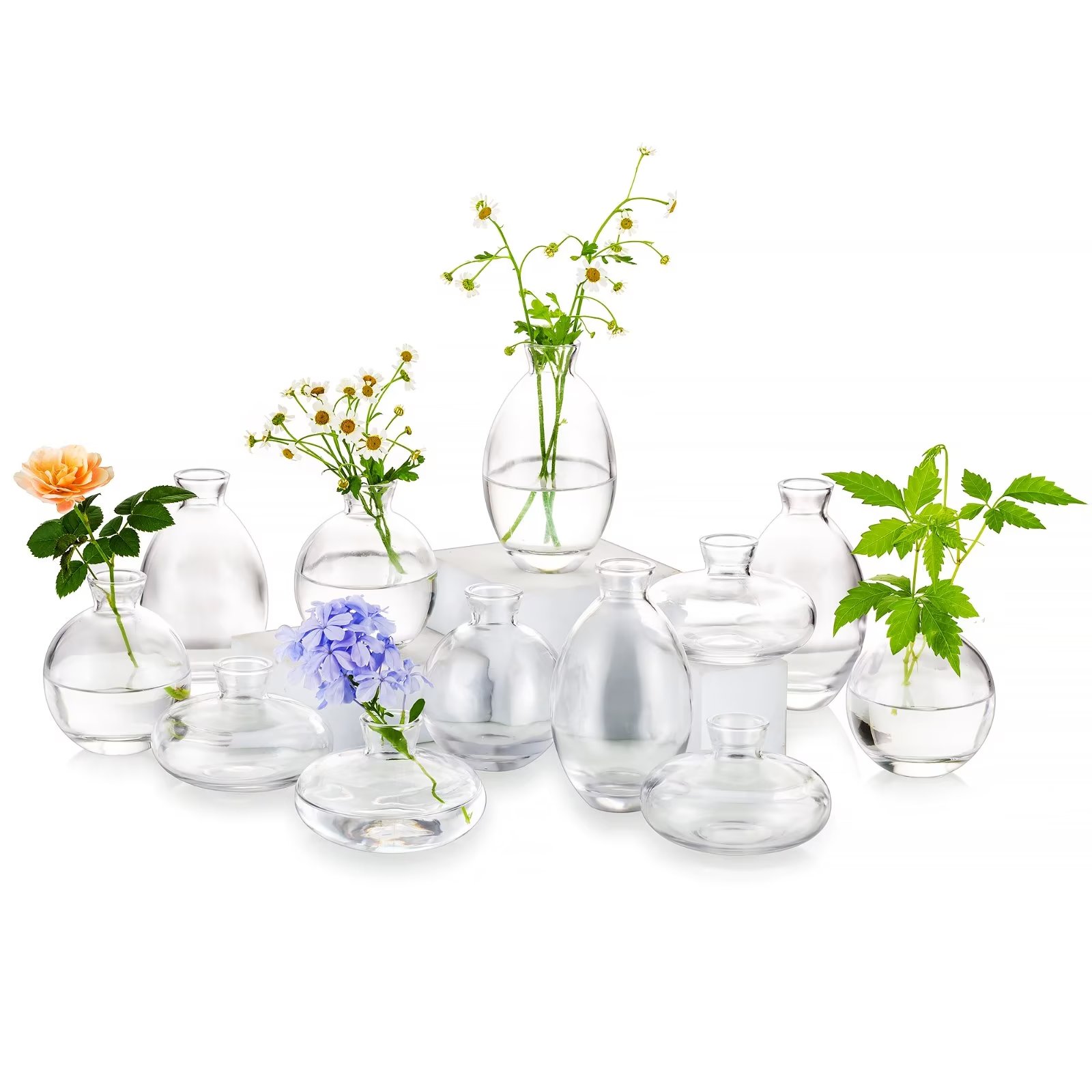 Glasseam Glass Bud Vase Set of 16 Clear Small Boho Vases Bulk for