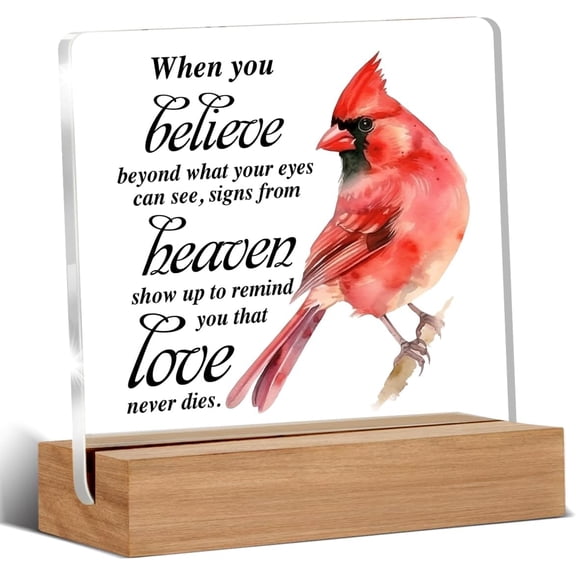 Loss of Loved One Sympathy Bereavement Memorial Gift Robins Appear When Loved Ones are Near Clear Desk Decorative Sign Acrylic Sign With Wooden Stand for Desk Table Shelf